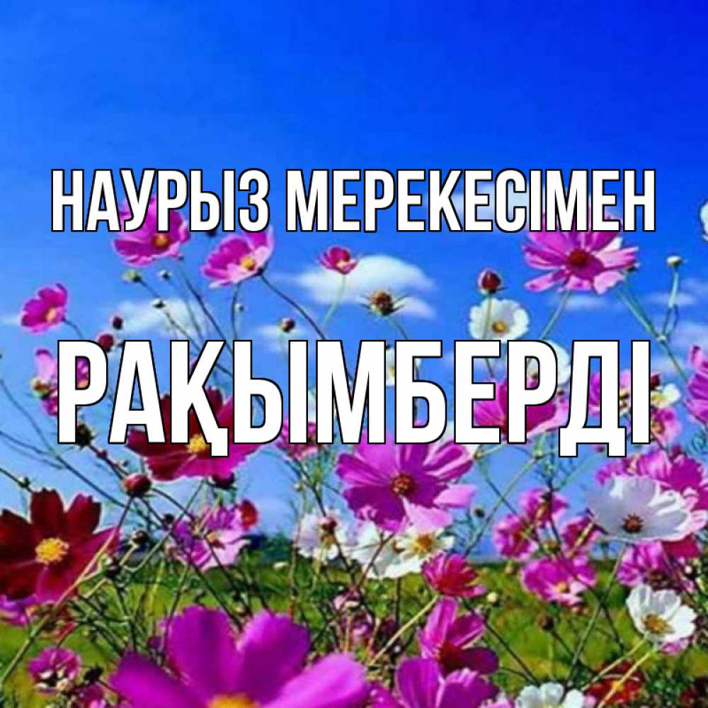 Күн сайын ашық хат с именем, Рақымберді Наурыз мерекесімен цветы Онлайн тегін жүктеп алу тілектері бар керемет карта 