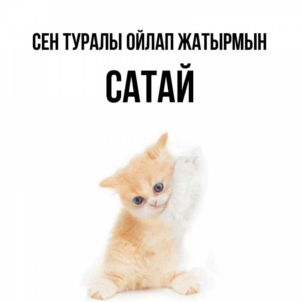 Күн сайын ашық хат с именем, САТАЙ Сен туралы ойлап жатырмын зверушки и милота Онлайн тегін жүктеп алу тілектері бар керемет карта 