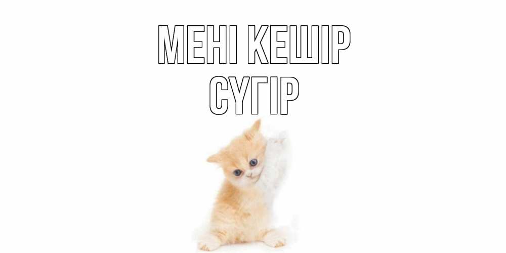 Күн сайын ашық хат с именем, СҮГІР Мені кешір кот Онлайн тегін жүктеп алу тілектері бар керемет карта 
