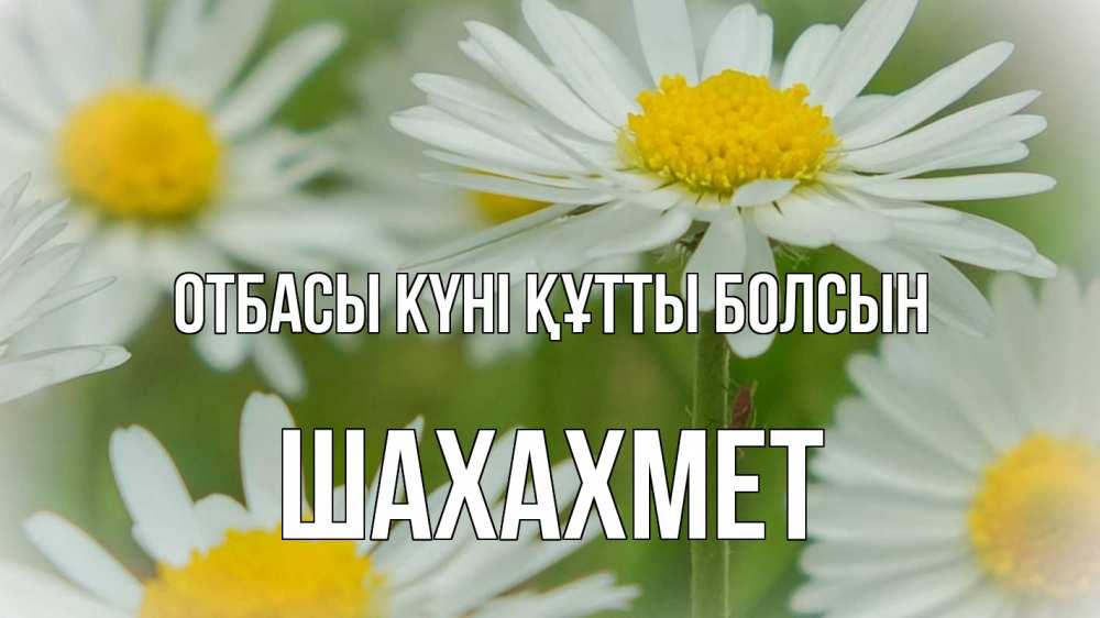 Күн сайын ашық хат с именем, ШАХАХМЕТ отбасы күні құтты болсын с днем семьи  1 Онлайн тегін жүктеп алу тілектері бар керемет карта 
