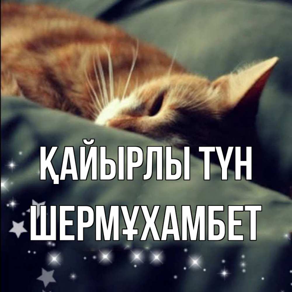 Күн сайын ашық хат с именем, ШЕРМҰХАМБЕТ Қайырлы түн кроватка Онлайн тегін жүктеп алу тілектері бар керемет карта 