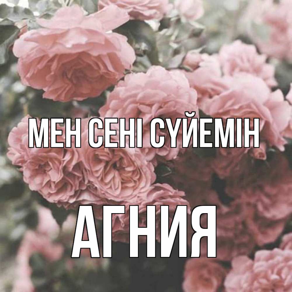 Күн сайын ашық хат с именем, Агния Мен сені сүйемін розы 3 Онлайн тегін жүктеп алу тілектері бар керемет карта 