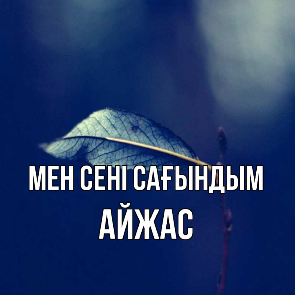 Күн сайын ашық хат с именем, Айжас Мен сені сағындым одна ветка 1 Онлайн тегін жүктеп алу тілектері бар керемет карта 