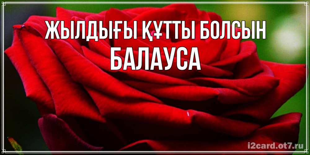 Күн сайын ашық хат с именем, БАЛАУСА Жылдығы құтты болсын розочка очень красивая Онлайн тегін жүктеп алу тілектері бар керемет карта 