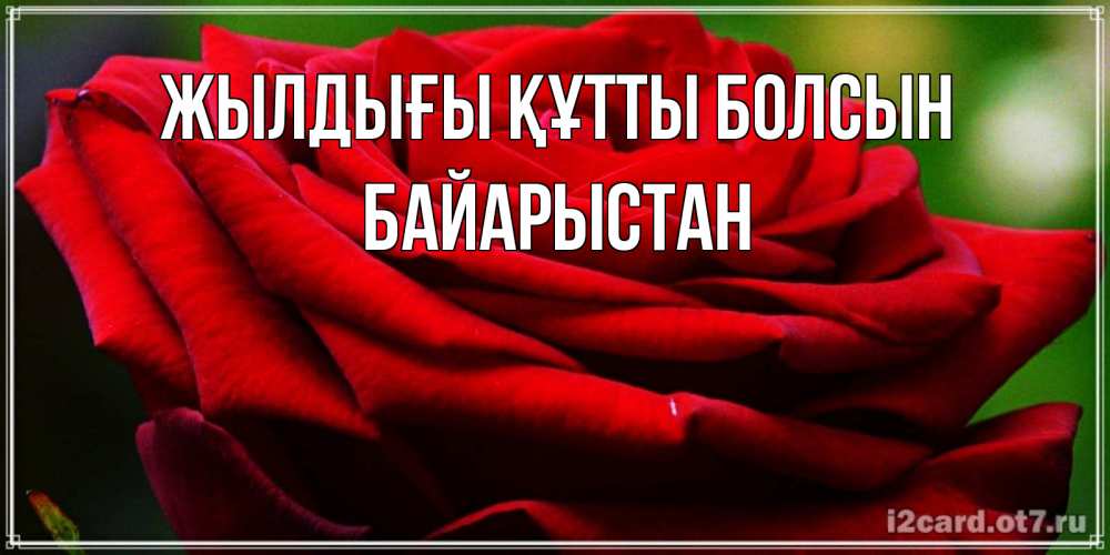 Күн сайын ашық хат с именем, Байарыстан Жылдығы құтты болсын розочка очень красивая Онлайн тегін жүктеп алу тілектері бар керемет карта 