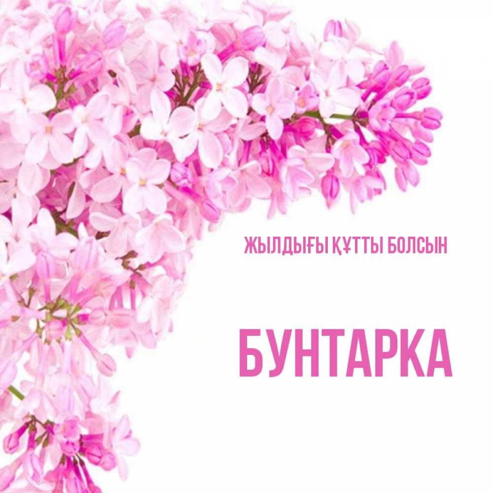 Күн сайын ашық хат с именем, Бунтарка Жылдығы құтты болсын Сирень на белом фоне Онлайн тегін жүктеп алу тілектері бар керемет карта 