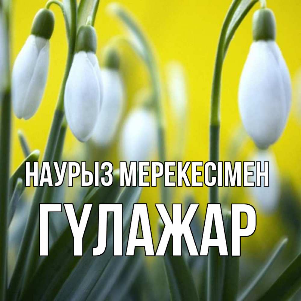Күн сайын ашық хат с именем, ГҮЛАЖАР Наурыз мерекесімен весенние цветы Онлайн тегін жүктеп алу тілектері бар керемет карта 