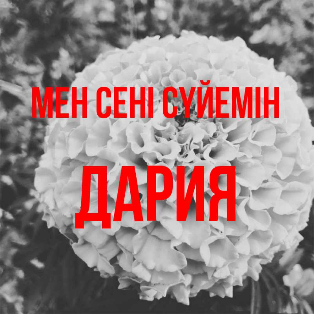 Күн сайын ашық хат с именем, ДАРИЯ Мен сені сүйемін подпись Онлайн тегін жүктеп алу тілектері бар керемет карта 