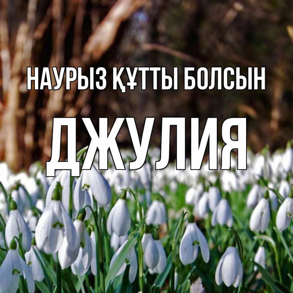 Күн сайын ашық хат с именем, Джулия Наурыз құтты болсын с подснежниками 1 Онлайн тегін жүктеп алу тілектері бар керемет карта 