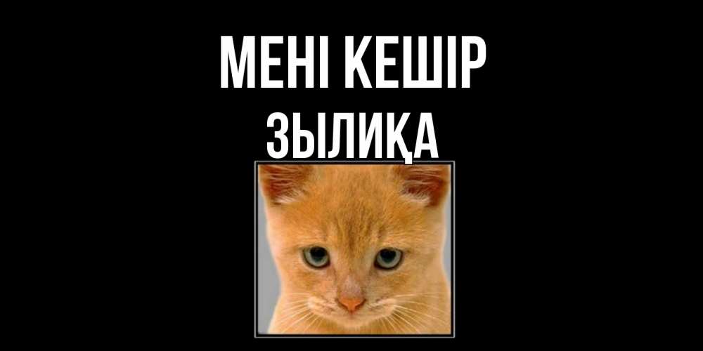 Күн сайын ашық хат с именем, ЗЫЛИҚА Мені кешір рыжий грустный кот просит прощения Онлайн тегін жүктеп алу тілектері бар керемет карта 