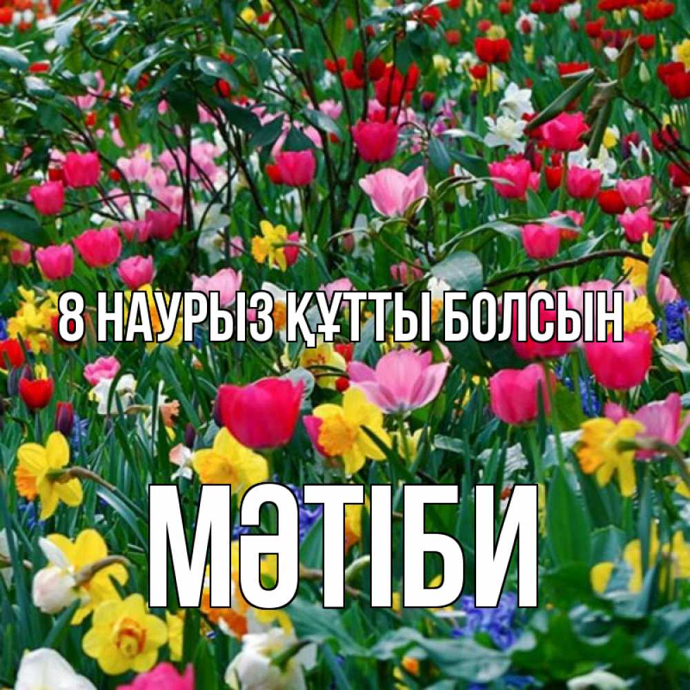 Күн сайын ашық хат с именем, МӘТІБИ 8 наурыз құтты болсын с международным женским днем поздравления для женщины Онлайн тегін жүктеп алу тілектері бар керемет карта 