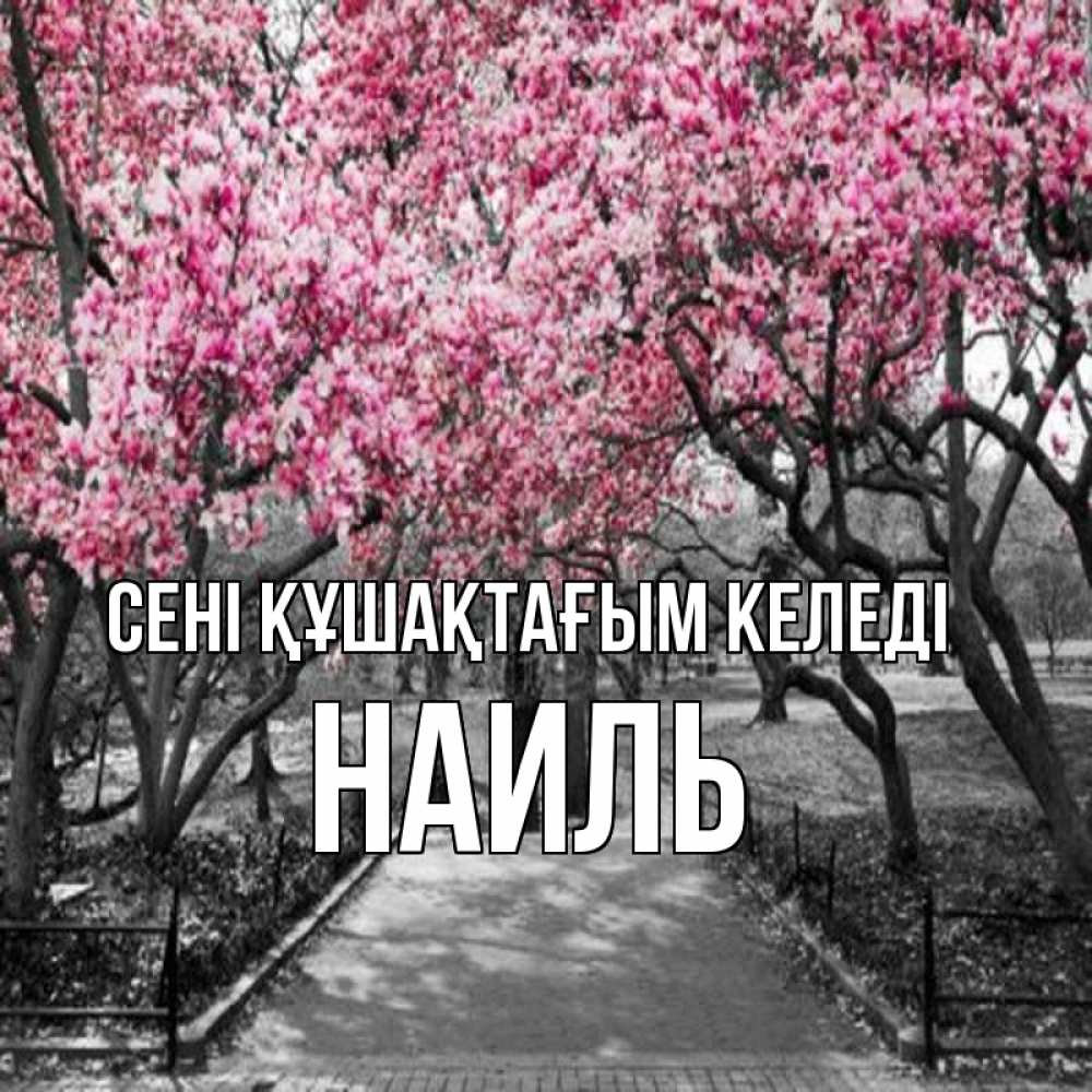 Күн сайын ашық хат с именем, Наиль сені құшақтағым келеді обработанное фото Онлайн тегін жүктеп алу тілектері бар керемет карта 