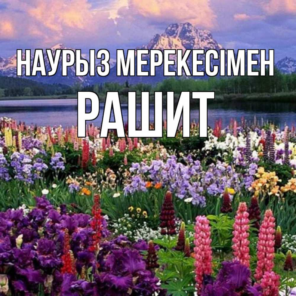 Күн сайын ашық хат с именем, РАШИТ Наурыз мерекесімен праздник весны наурыз Онлайн тегін жүктеп алу тілектері бар керемет карта 