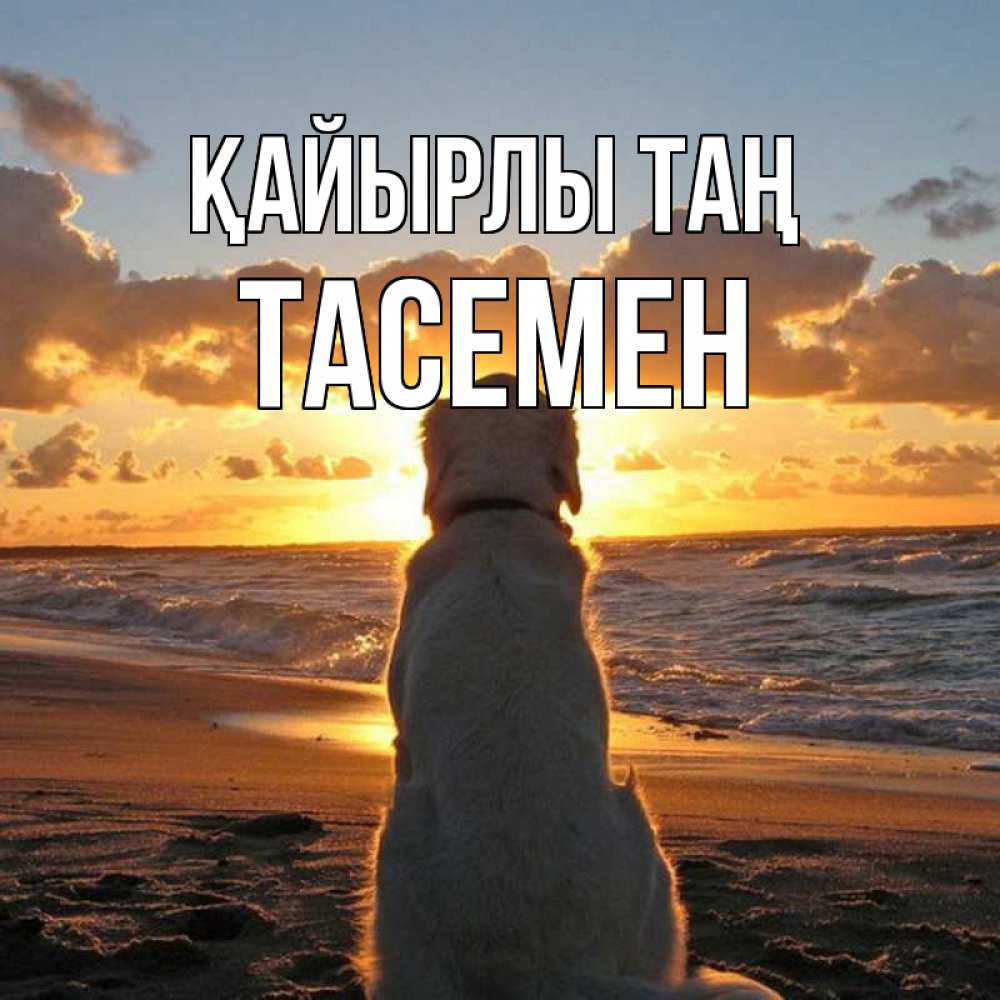 Күн сайын ашық хат с именем, ТАСЕМЕН Қайырлы таң восход солнца Онлайн тегін жүктеп алу тілектері бар керемет карта 