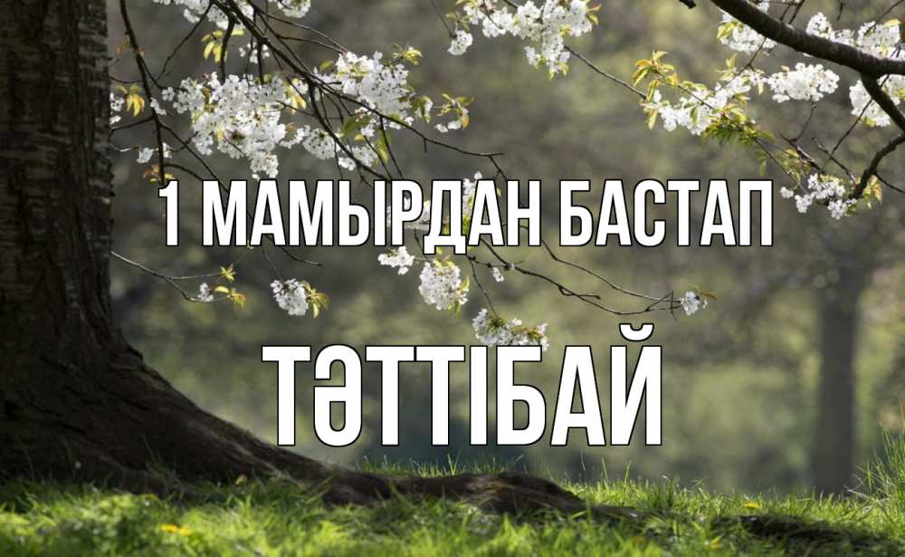 Күн сайын ашық хат с именем, ТӘТТІБАЙ 1 мамырдан бастап С 1 мая Онлайн тегін жүктеп алу тілектері бар керемет карта 