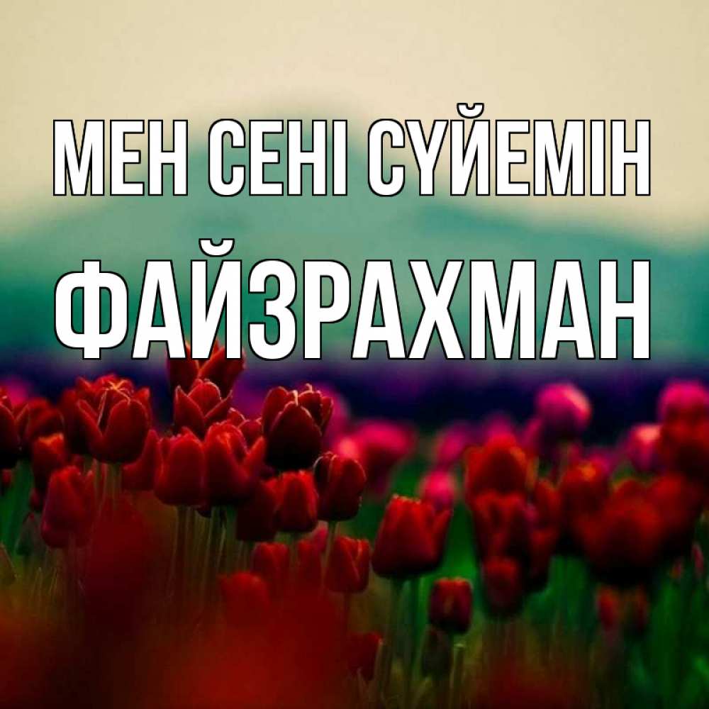 Күн сайын ашық хат с именем, ФАЙЗРАХМАН Мен сені сүйемін тюльпаны 4 Онлайн тегін жүктеп алу тілектері бар керемет карта 