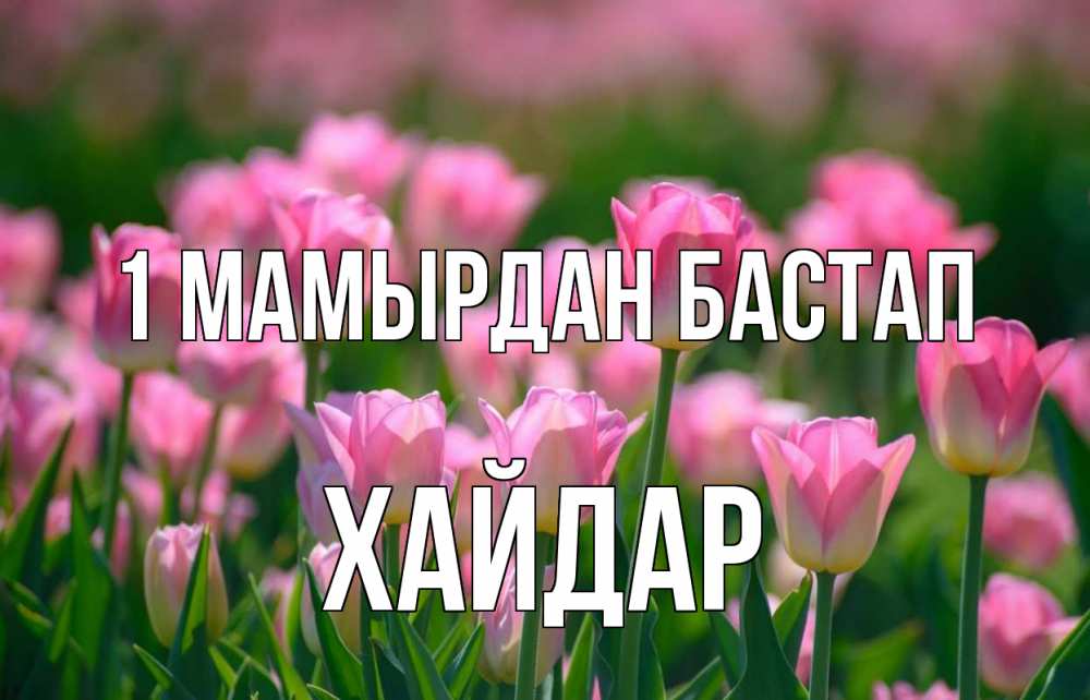Күн сайын ашық хат с именем, ХАЙДАР 1 мамырдан бастап С 1 мая Онлайн тегін жүктеп алу тілектері бар керемет карта 