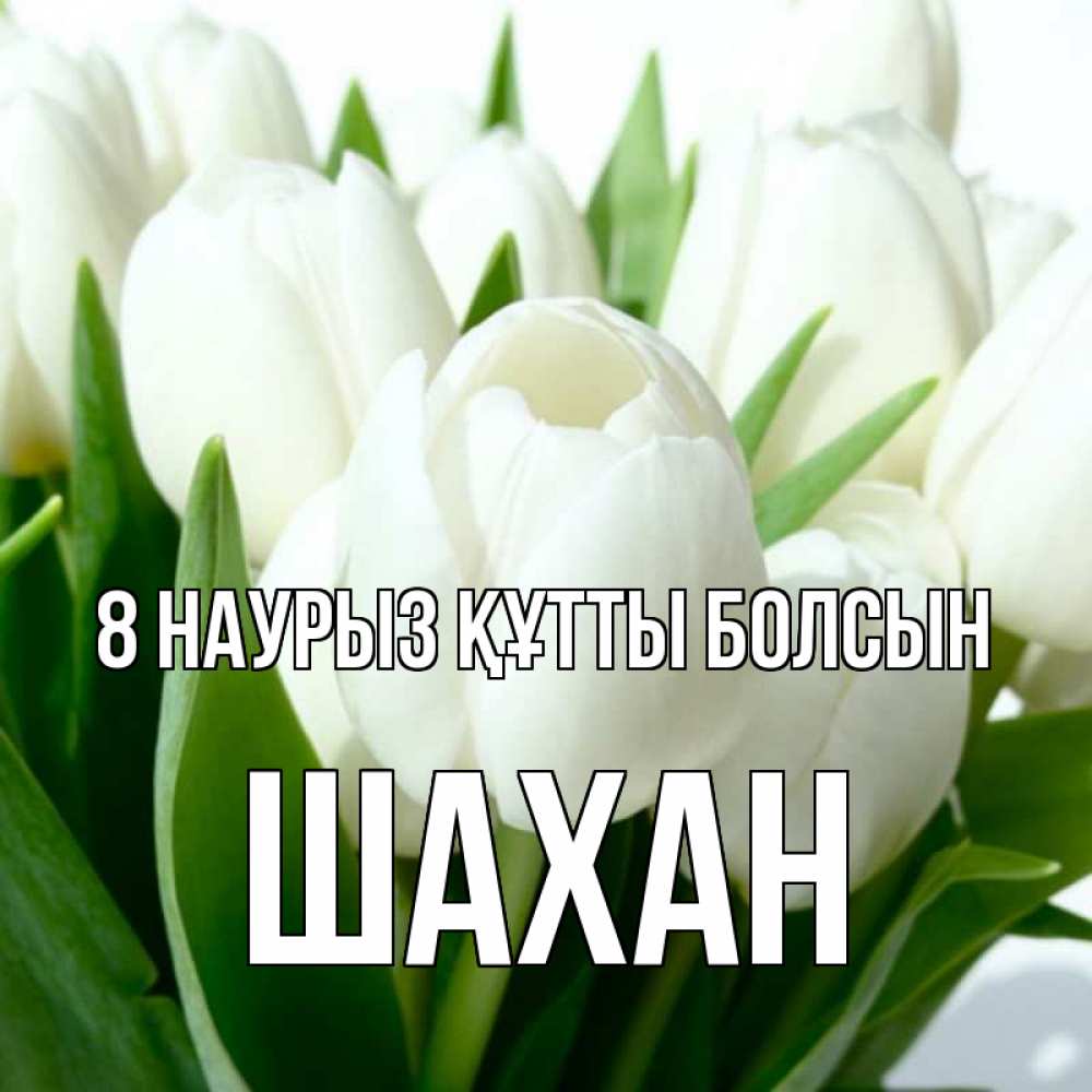 Күн сайын ашық хат с именем, ШАХАН 8 наурыз құтты болсын цветы Онлайн тегін жүктеп алу тілектері бар керемет карта 