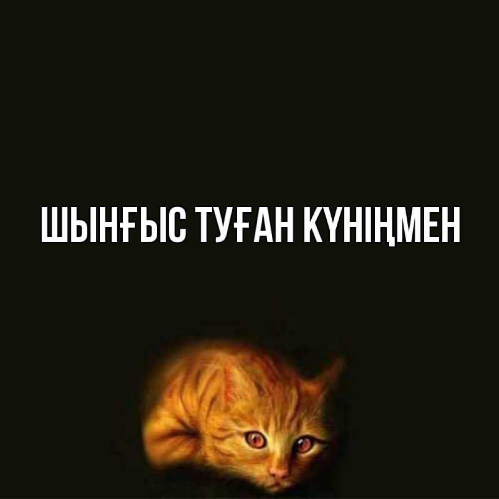 Күн сайын ашық хат с именем, ШЫНҒЫС-ТУҒАН-КҮНІҢМЕН Главная лежащий кот в темноте Онлайн тегін жүктеп алу тілектері бар керемет карта 