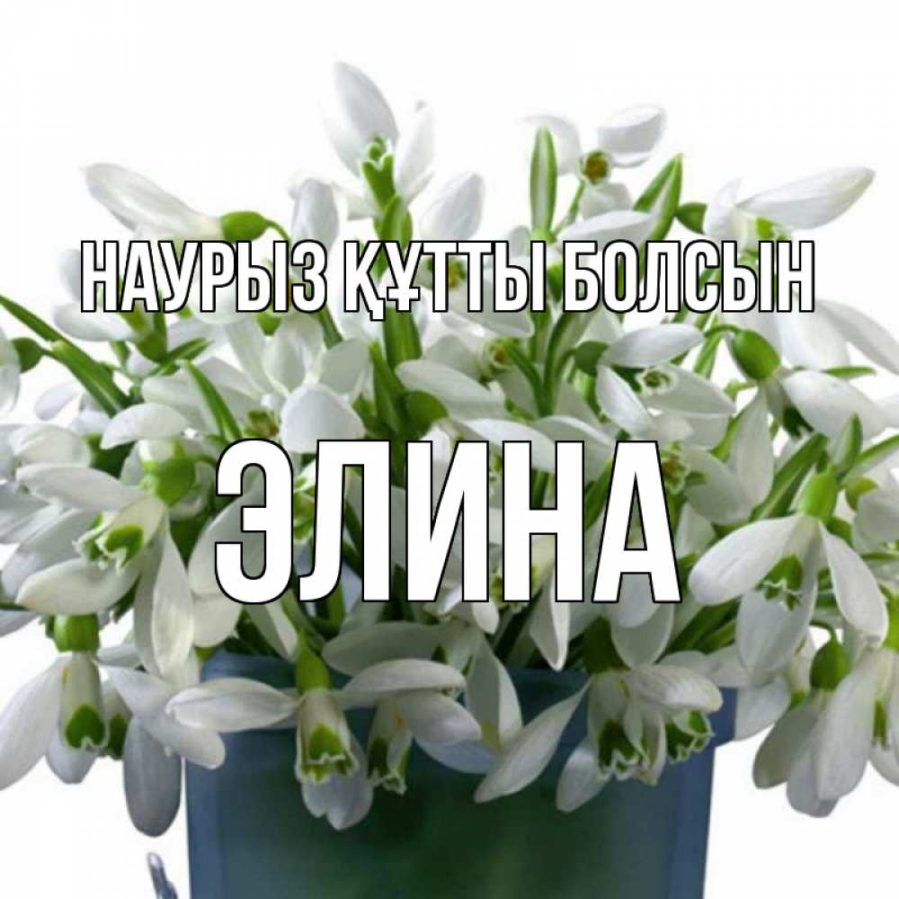 Күн сайын ашық хат с именем, Элина Наурыз құтты болсын цветы к наурызу Онлайн тегін жүктеп алу тілектері бар керемет карта 