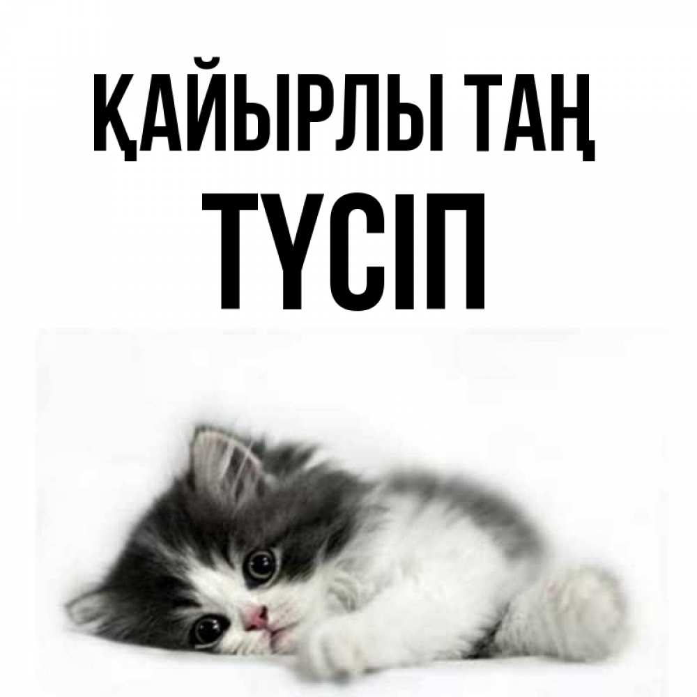 Күн сайын ашық хат с именем, ТҮСІП Қайырлы таң кот лапки Онлайн тегін жүктеп алу тілектері бар керемет карта 