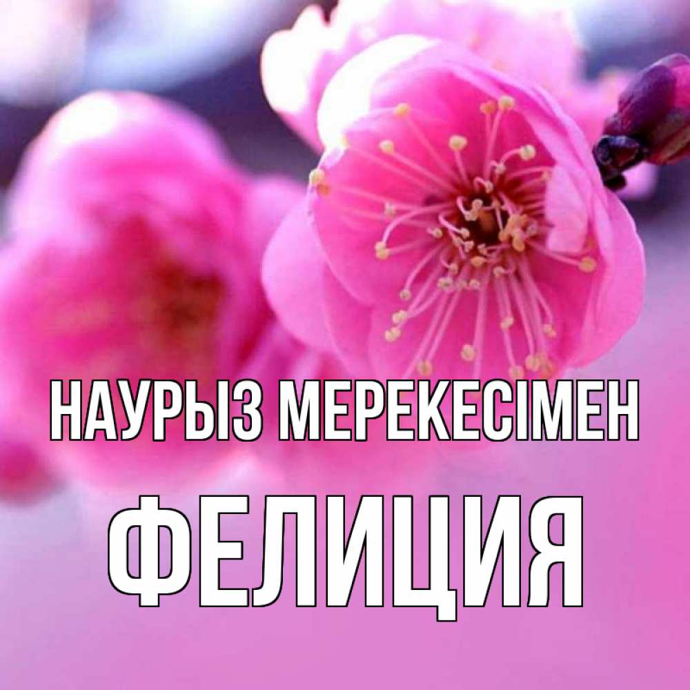 Күн сайын ашық хат с именем, Фелиция Наурыз мерекесімен международный женский день Онлайн тегін жүктеп алу тілектері бар керемет карта 