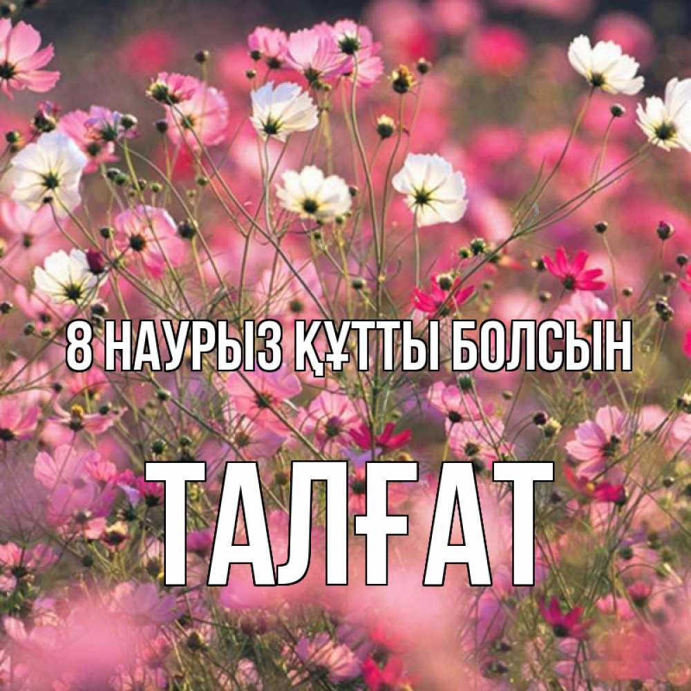 Күн сайын ашық хат с именем, ТАЛҒАТ 8 наурыз құтты болсын красиво 1 Онлайн тегін жүктеп алу тілектері бар керемет карта 