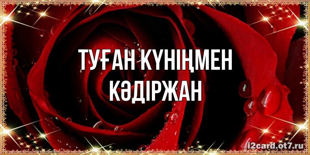 Күн сайын ашық хат с именем, Кәдіржан Туған күніңмен цветок в росе на день рождения Онлайн тегін жүктеп алу тілектері бар керемет карта 
