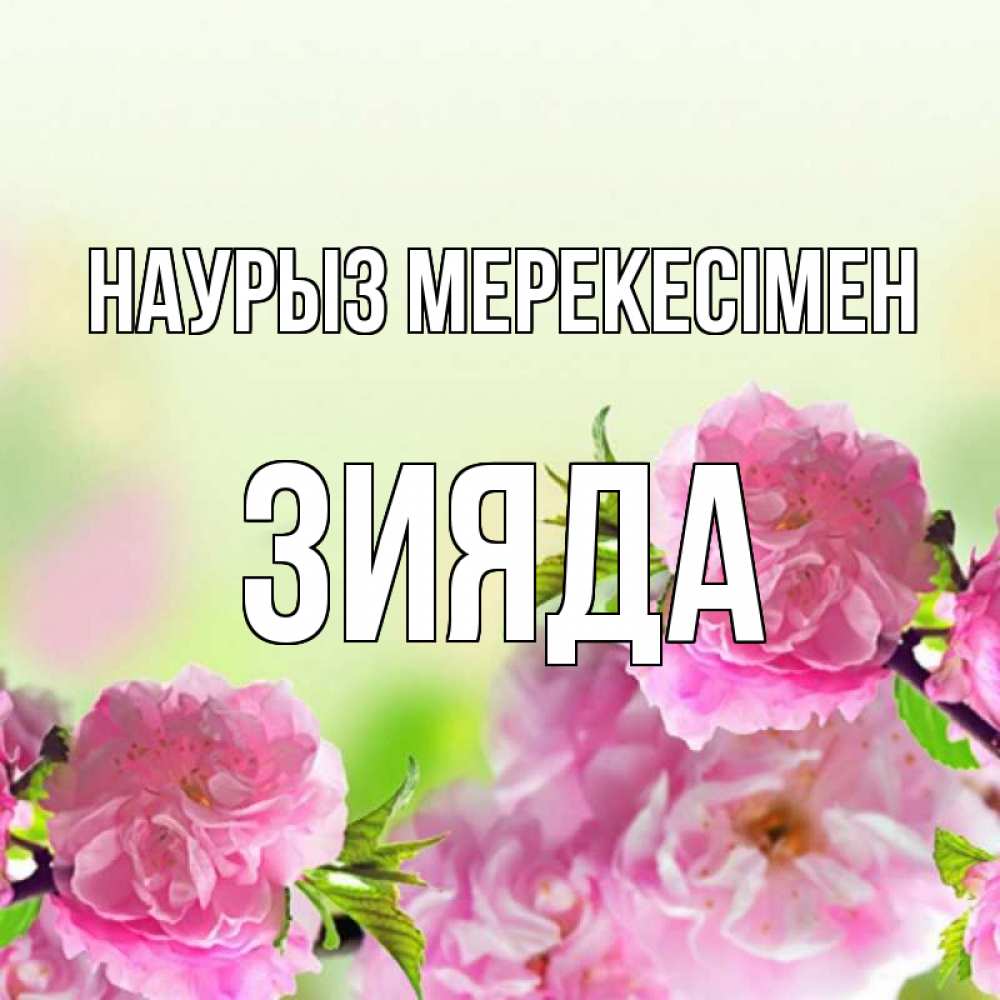Күн сайын ашық хат с именем, ЗИЯДА Наурыз мерекесімен цветы Онлайн тегін жүктеп алу тілектері бар керемет карта 