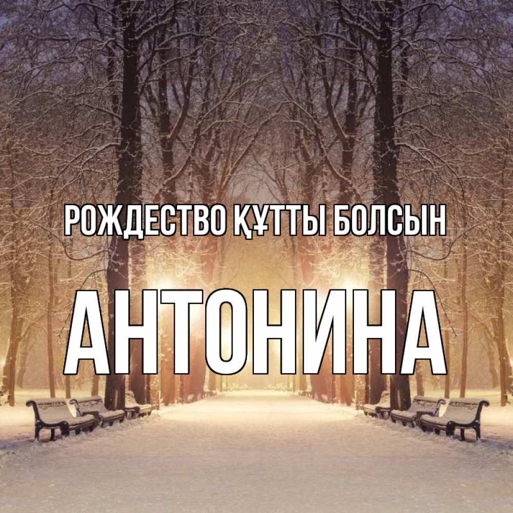 Күн сайын ашық хат с именем, Антонина Рождество құтты болсын зима, парк, фонарь, лес Онлайн тегін жүктеп алу тілектері бар керемет карта 