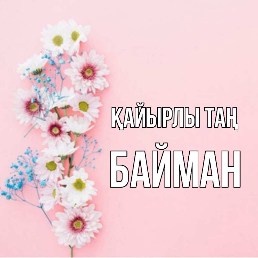 Күн сайын ашық хат с именем, Байман Қайырлы таң цветы с подписью Онлайн тегін жүктеп алу тілектері бар керемет карта 