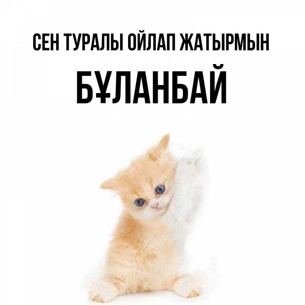 Күн сайын ашық хат с именем, Бұланбай Сен туралы ойлап жатырмын зверушки и милота Онлайн тегін жүктеп алу тілектері бар керемет карта 