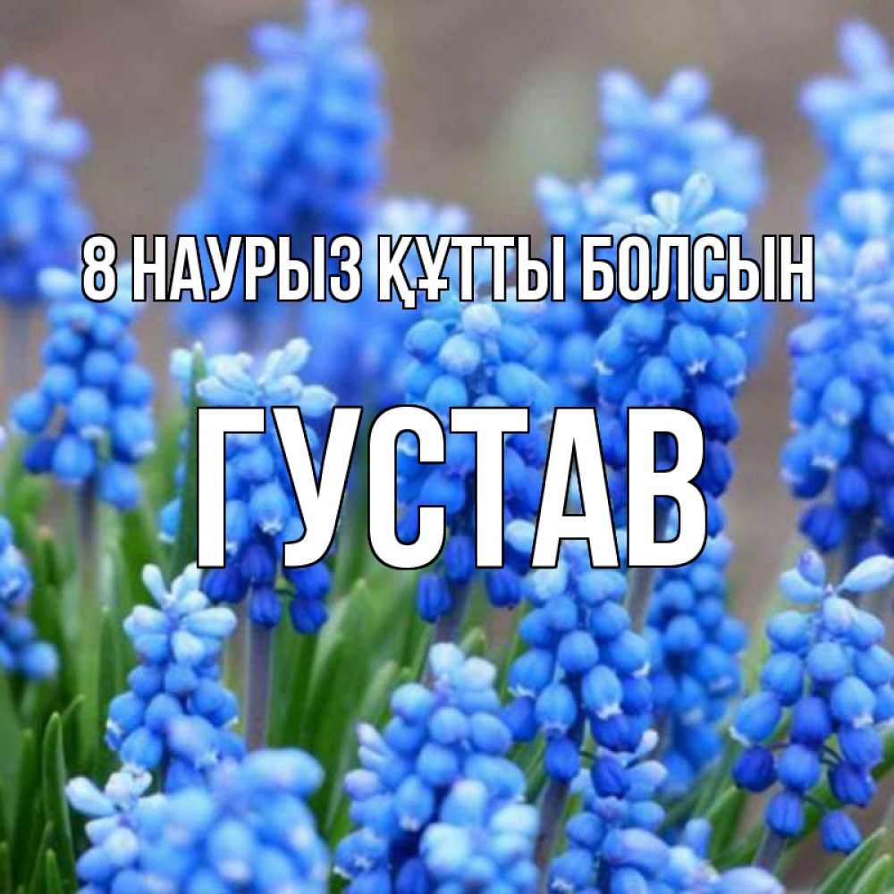 Күн сайын ашық хат с именем, Густав 8 наурыз құтты болсын Поздравительная открытка для женщин с цветами на праздничную дату Онлайн тегін жүктеп алу тілектері бар керемет карта 