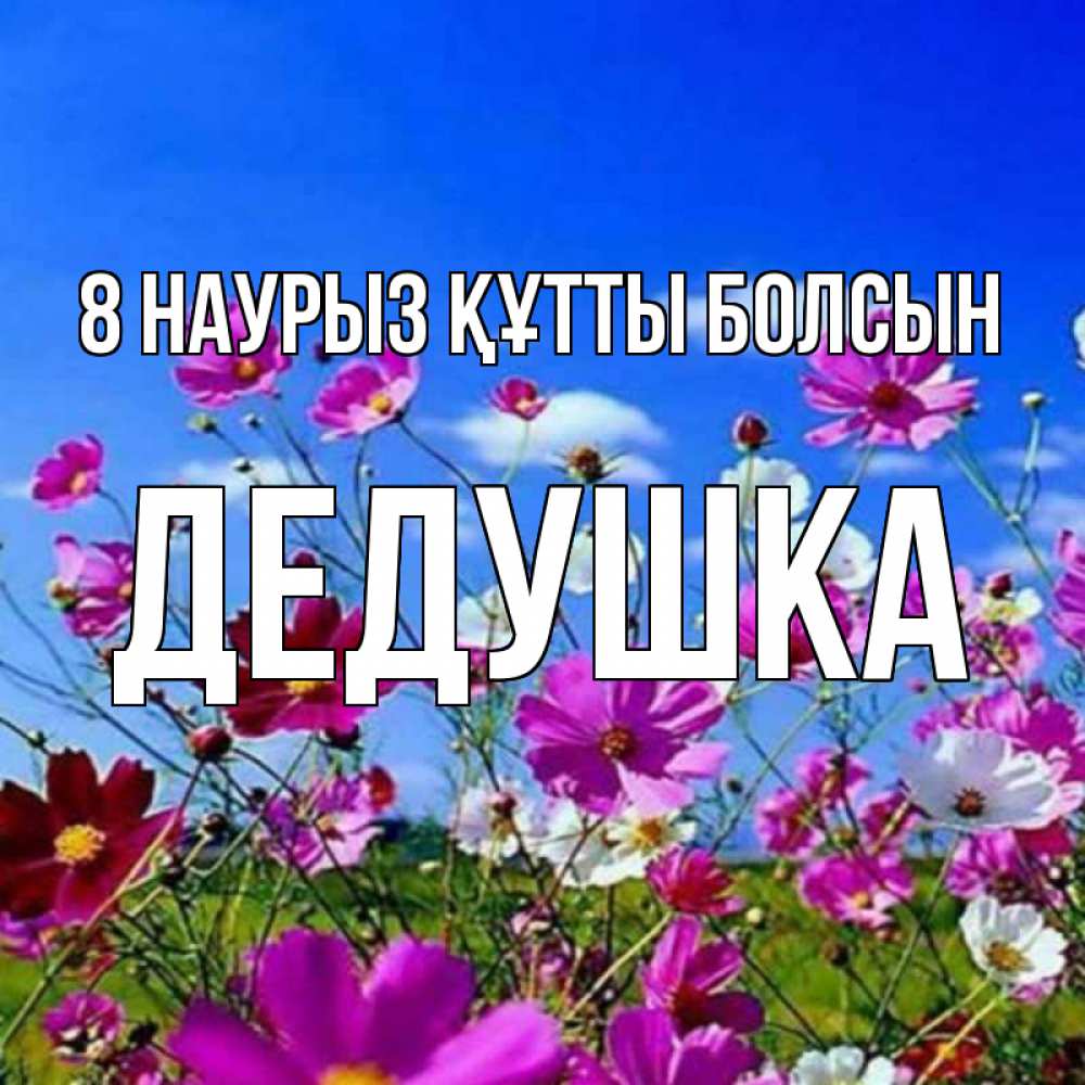 Күн сайын ашық хат с именем, Дедушка 8 наурыз құтты болсын цветы Онлайн тегін жүктеп алу тілектері бар керемет карта 