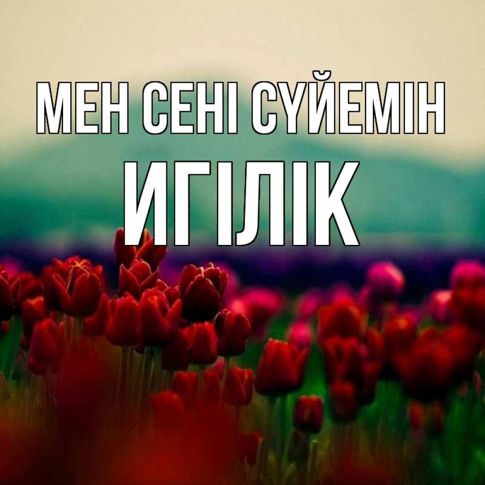 Күн сайын ашық хат с именем, Игілік Мен сені сүйемін тюльпаны 4 Онлайн тегін жүктеп алу тілектері бар керемет карта 
