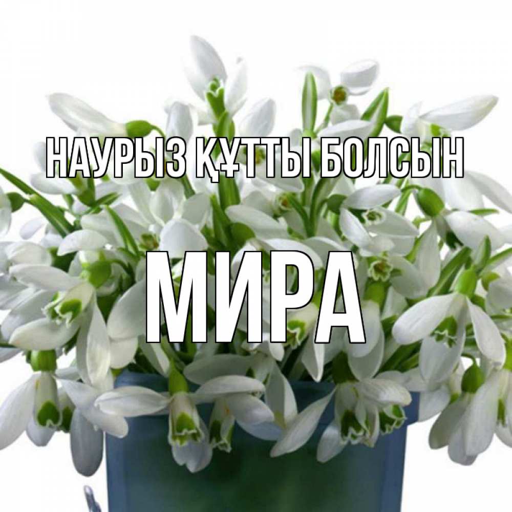 Күн сайын ашық хат с именем, МИРА Наурыз құтты болсын цветы к наурызу Онлайн тегін жүктеп алу тілектері бар керемет карта 