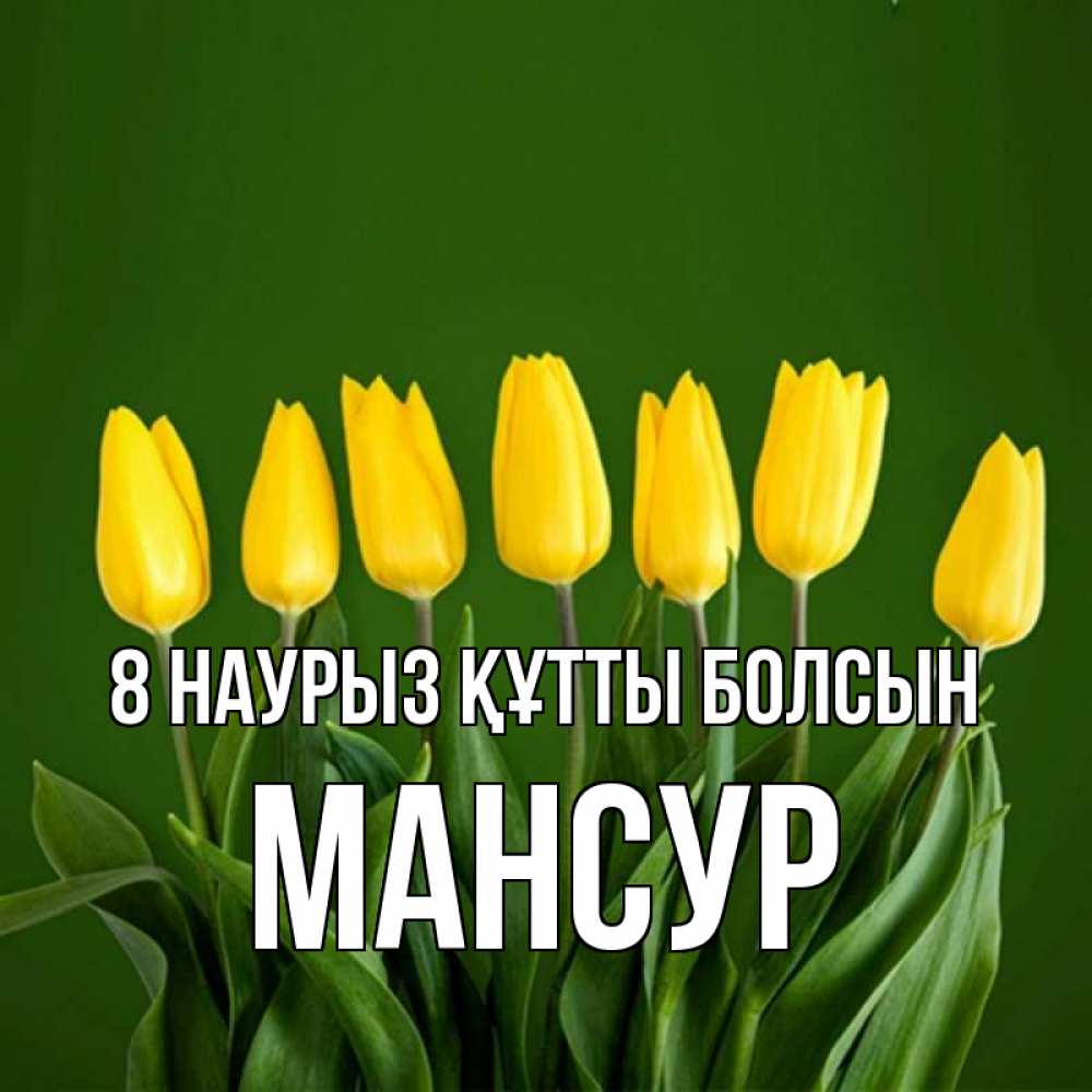 Күн сайын ашық хат с именем, Мансур 8 наурыз құтты болсын желтого цвета 3 Онлайн тегін жүктеп алу тілектері бар керемет карта 