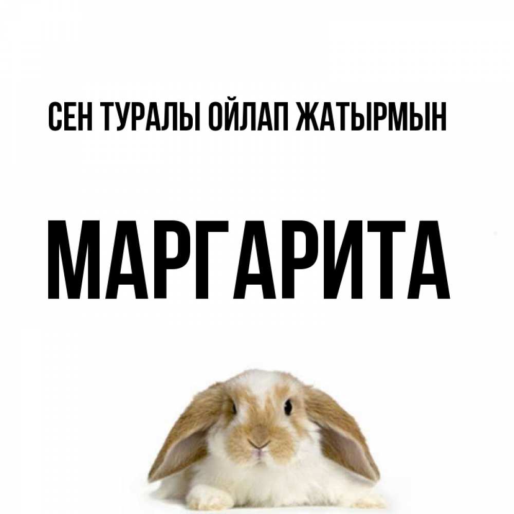 Күн сайын ашық хат с именем, Маргарита Сен туралы ойлап жатырмын подписать своими руками онлайн Онлайн тегін жүктеп алу тілектері бар керемет карта 
