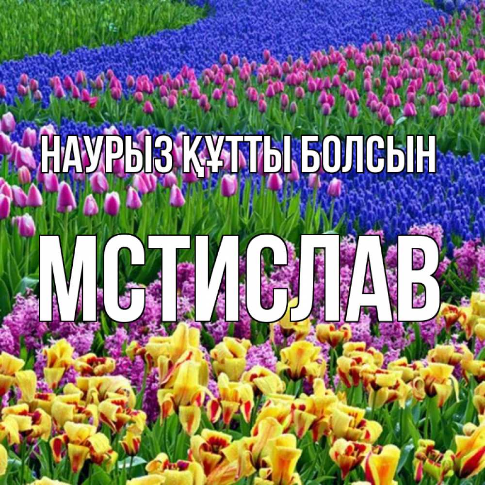 Күн сайын ашық хат с именем, Мстислав Наурыз құтты болсын цветы Онлайн тегін жүктеп алу тілектері бар керемет карта 