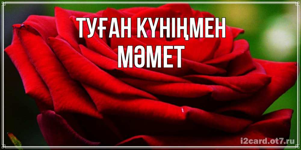 Күн сайын ашық хат с именем, Мәмет Туған күніңмен розочка очень красивая Онлайн тегін жүктеп алу тілектері бар керемет карта 