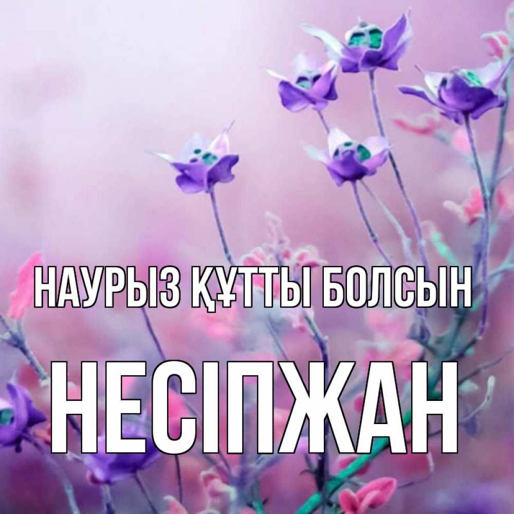 Күн сайын ашық хат с именем, НЕСІПЖАН Наурыз құтты болсын наурыз  2 Онлайн тегін жүктеп алу тілектері бар керемет карта 