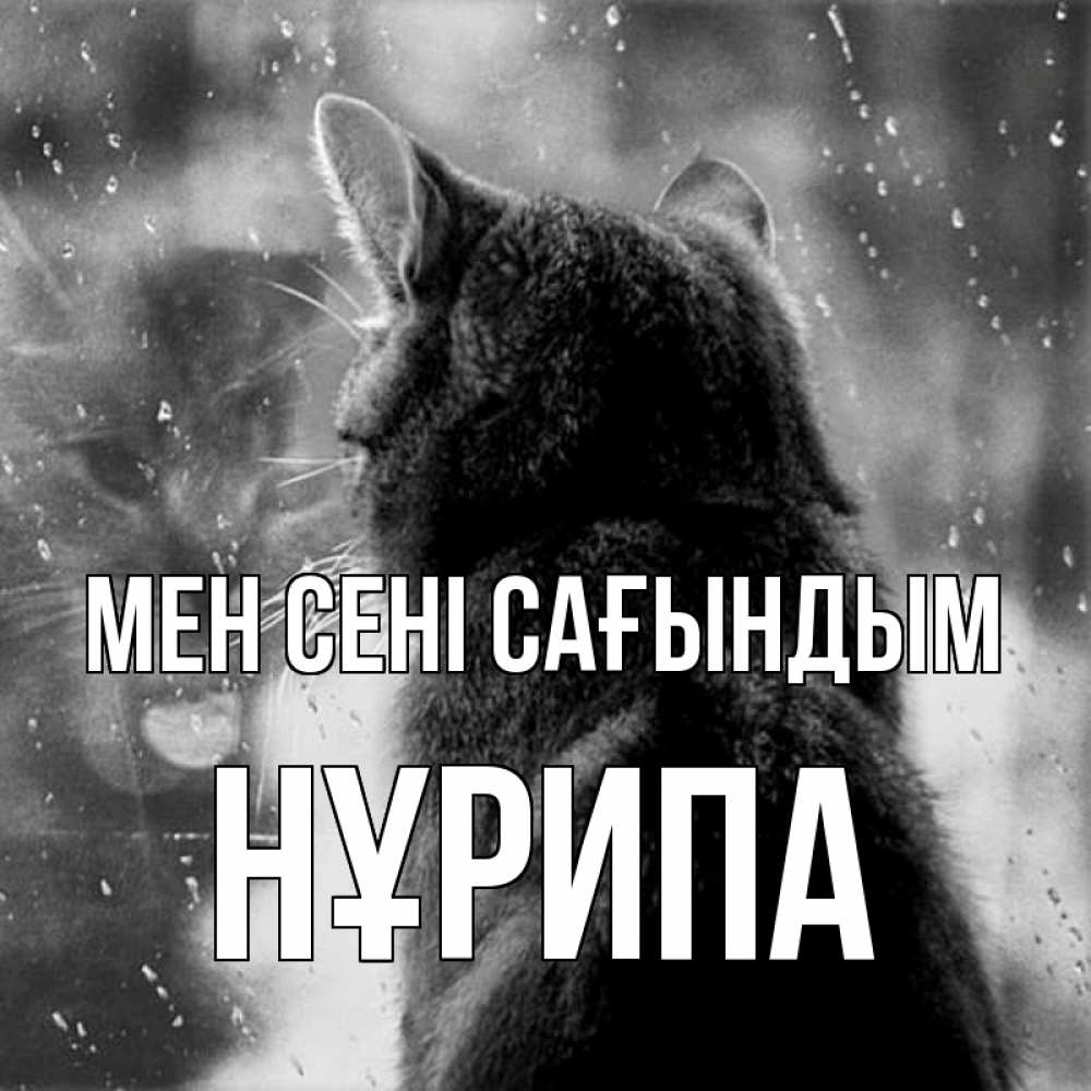 Күн сайын ашық хат с именем, НҰРИПА Мен сені сағындым скорее ко мне приходи 1 Онлайн тегін жүктеп алу тілектері бар керемет карта 
