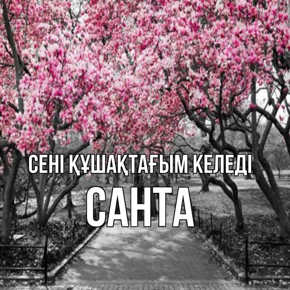 Күн сайын ашық хат с именем, Санта сені құшақтағым келеді обработанное фото Онлайн тегін жүктеп алу тілектері бар керемет карта 