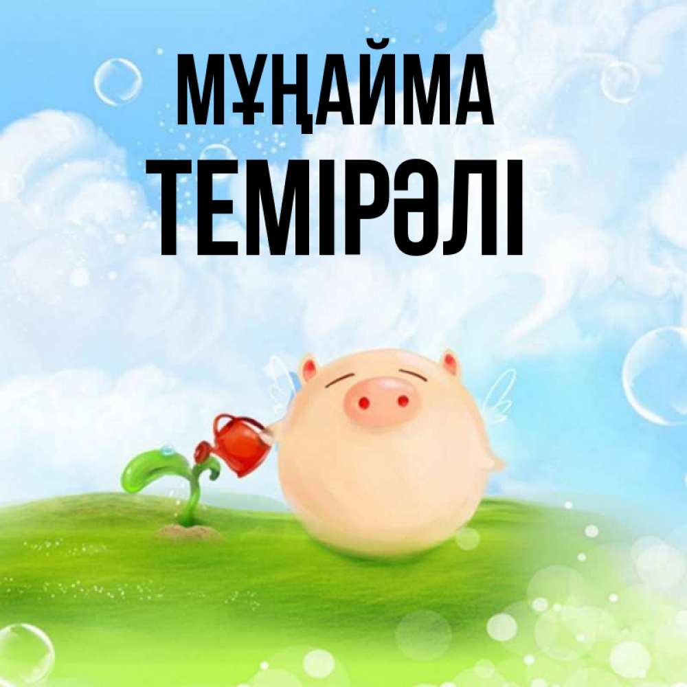 Күн сайын ашық хат с именем, ТЕМІРӘЛІ Мұңайма поливает цветок порося Онлайн тегін жүктеп алу тілектері бар керемет карта 