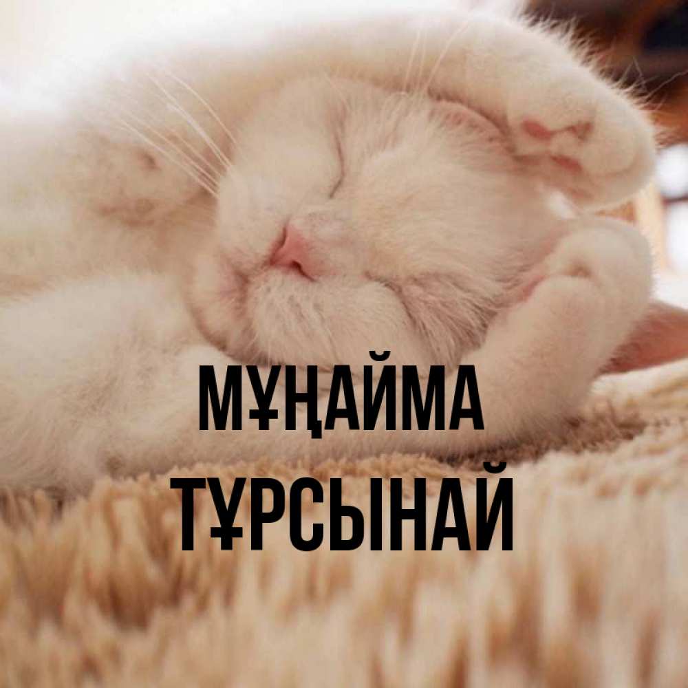 Күн сайын ашық хат с именем, ТҰРСЫНАЙ Мұңайма Котенок спит Онлайн тегін жүктеп алу тілектері бар керемет карта 
