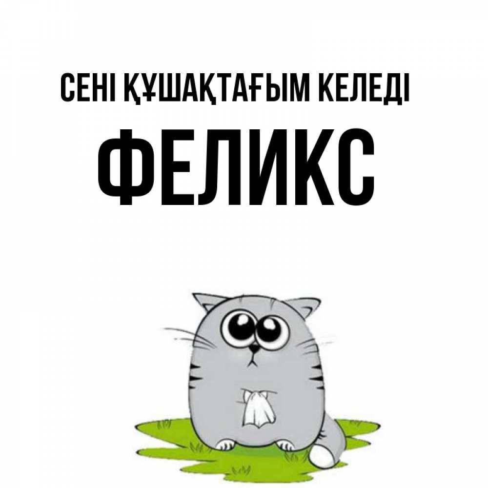 Күн сайын ашық хат с именем, Феликс сені құшақтағым келеді котик теребит платочек сидя на травке Онлайн тегін жүктеп алу тілектері бар керемет карта 