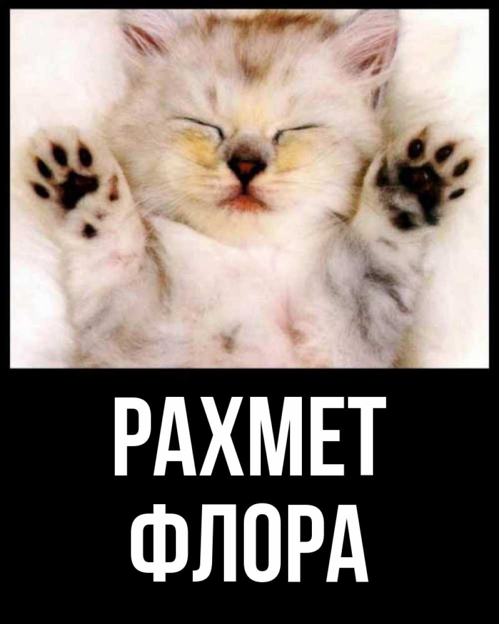 Күн сайын ашық хат с именем, Флора рахмет маленький котенок Онлайн тегін жүктеп алу тілектері бар керемет карта 