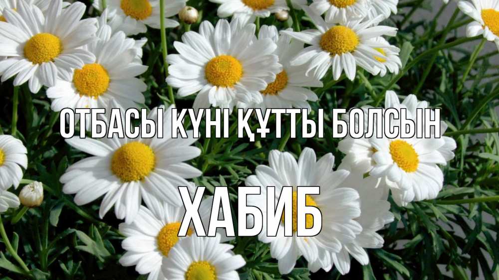 Күн сайын ашық хат с именем, ХАБИБ отбасы күні құтты болсын с днем семьи Онлайн тегін жүктеп алу тілектері бар керемет карта 