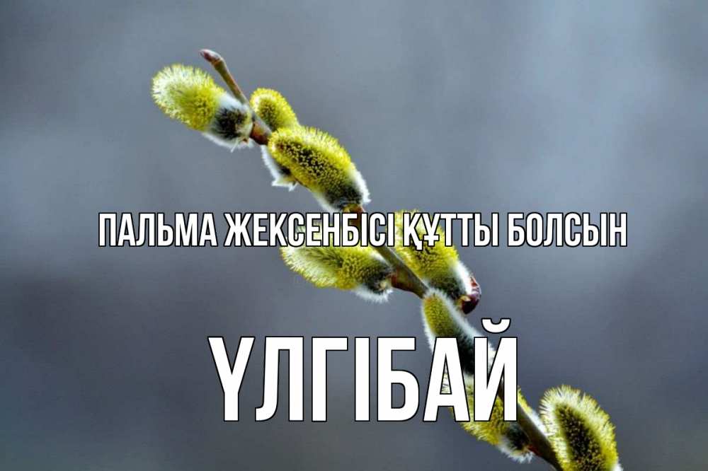 Күн сайын ашық хат с именем, ҮЛГІБАЙ Пальма жексенбісі құтты болсын верба Онлайн тегін жүктеп алу тілектері бар керемет карта 