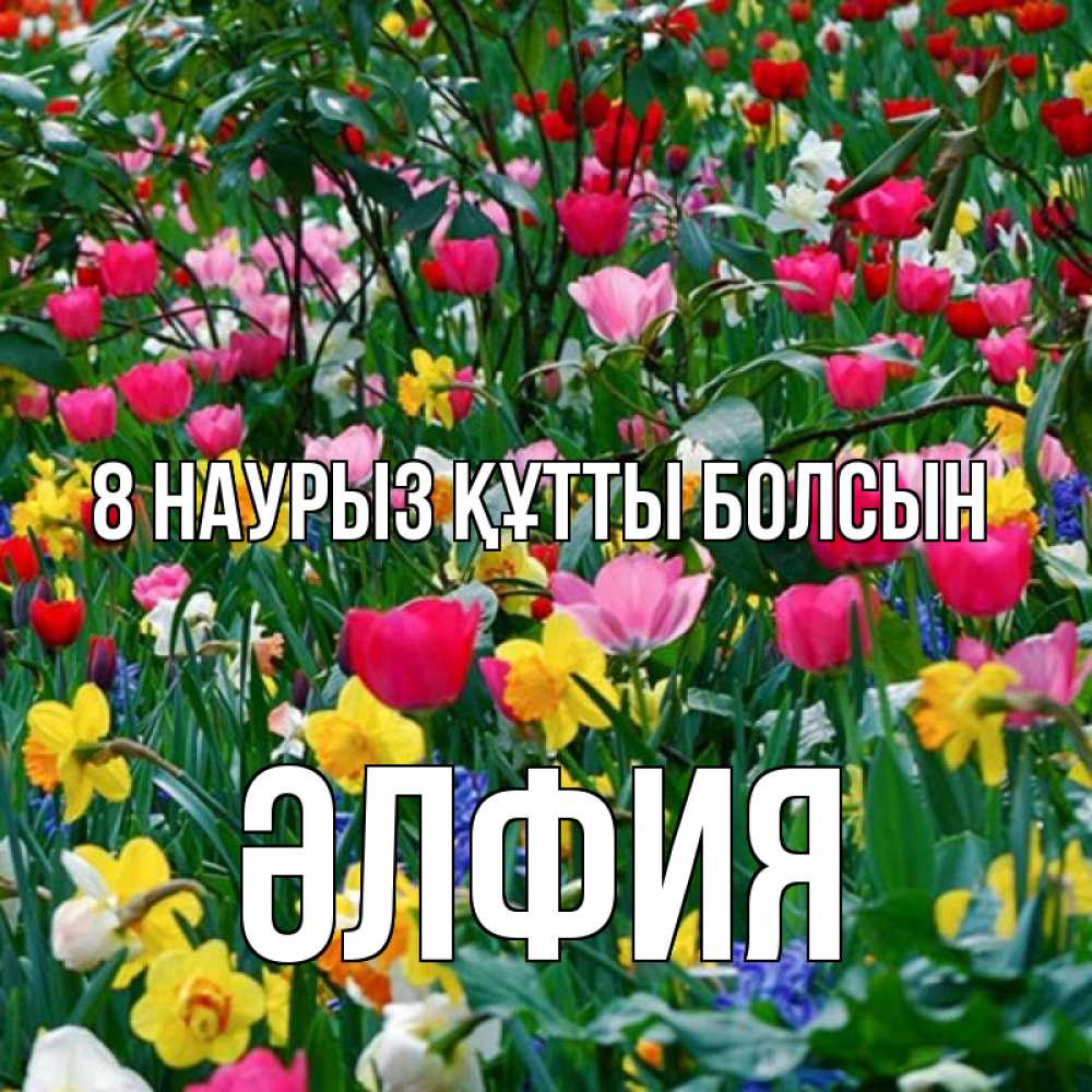 Күн сайын ашық хат с именем, ӘЛФИЯ 8 наурыз құтты болсын с международным женским днем поздравления для женщины Онлайн тегін жүктеп алу тілектері бар керемет карта 